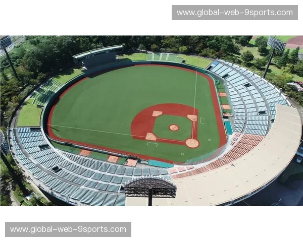 奥运会最新：科技、绿色与人性在赛场交汇